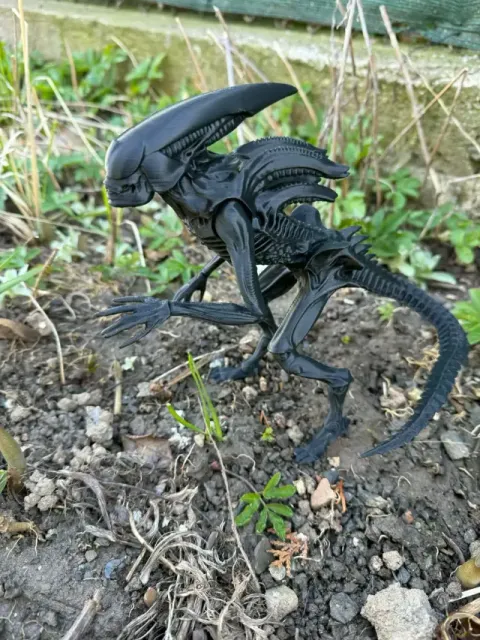 Alien, xenomorph from Prometheus, Covenant — Image 4 of 5