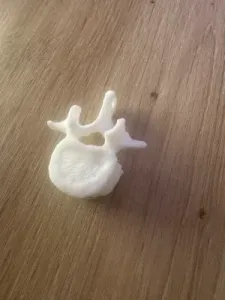 Vertebra Keychain