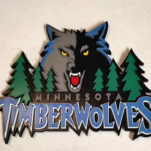 mn Timberwolves