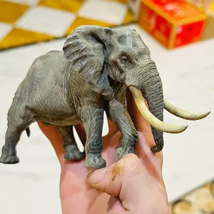 Crazy Elephant
