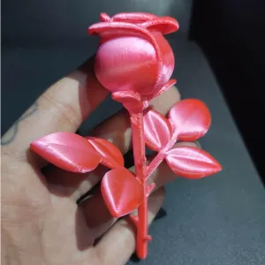 Stylized Rose Stem With Thick Petals Leaves And Bud Detail