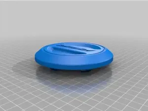 rzr wheel caps