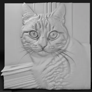 picture of a cat