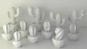 Cactus all kinds