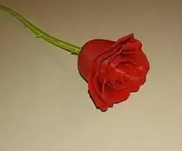 Repaired Rose