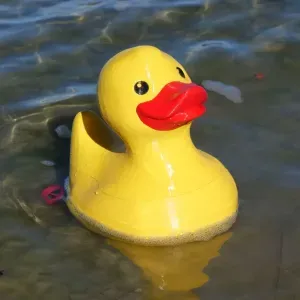 RC Renè Ruberduck