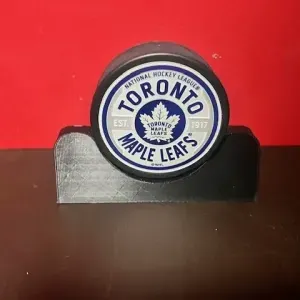 Hockey Puck holder