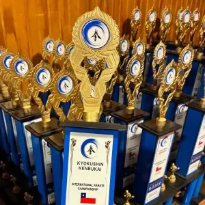 Adorno para Trofeos