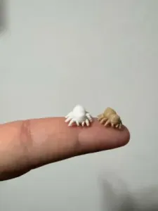 Cute Mini Spider