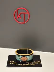 Tower to Unity (Tomorrowland Bracelet display)