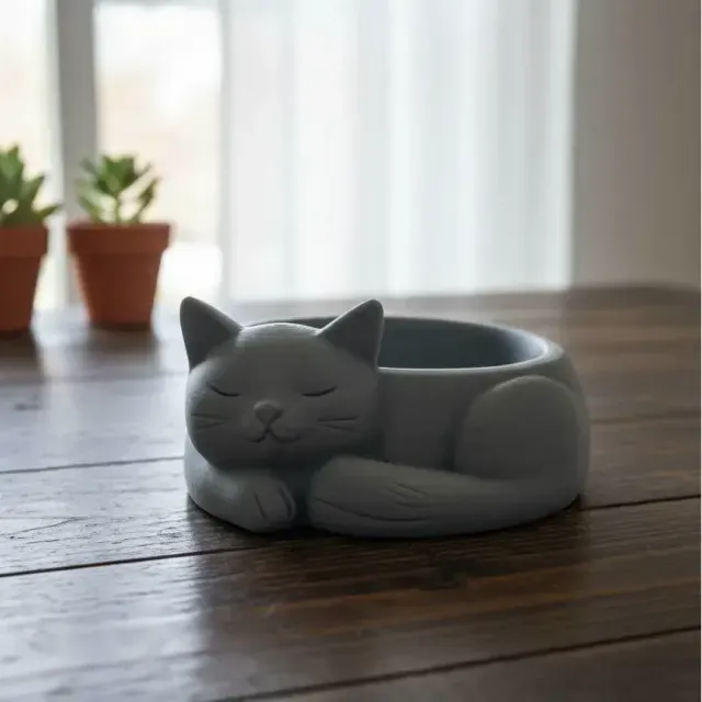 Candy bowl cat