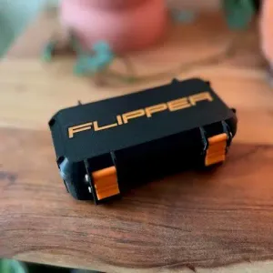 Flipper zero case and case wifi plat