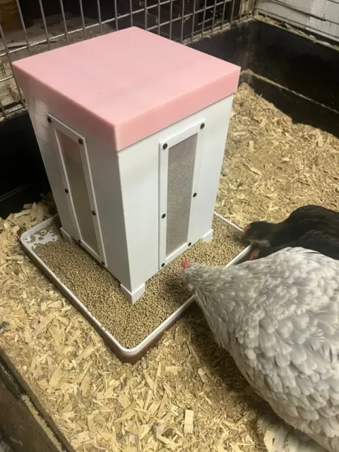 Feeding place for chicks — Image 8 of 9