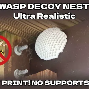 Decoy Wasp Nest