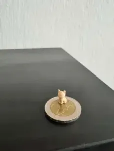 World's Smallest Cat