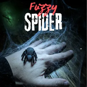 Fuzzy Spider