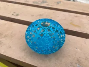 Sea Urchin