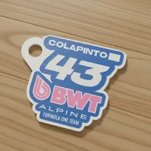 LLAVERO COLAPINTO ALPINE