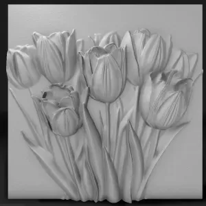 tulips