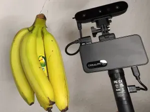 A Hand of Bananas 3D Scan