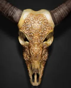 Bill, the Buffalo Skull