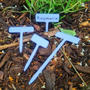 Herb/Plant Label Signs (different sizes)