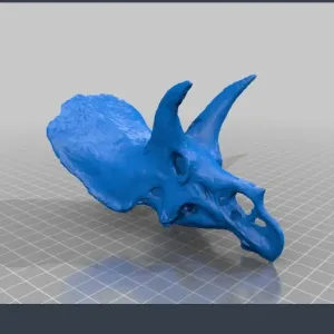 Dinosaur skull