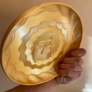 Unbreakable Frisbee Toy