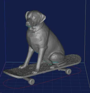 Labrador on a skateboard