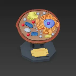 Animal Cell Model Educational Biology STL with Organelles