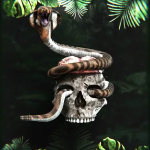 Skull with brain and snake around it