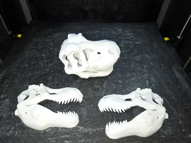 Jurassic Park Dinosaur Skulls Full and Halves Movie Decor — Image 3 of 9