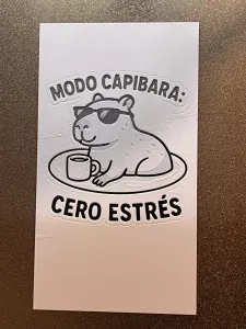 Wall Art Hueforge Capibara_Front_