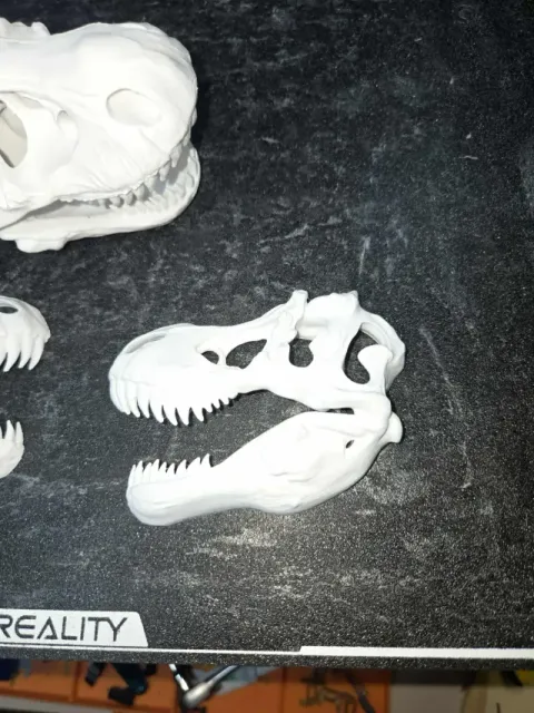 Jurassic Park Dinosaur Skulls Full and Halves Movie Decor — Image 4 of 9