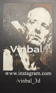 vinbal 3d