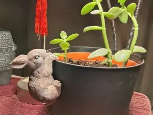 Flower Pot Hangers Bunny