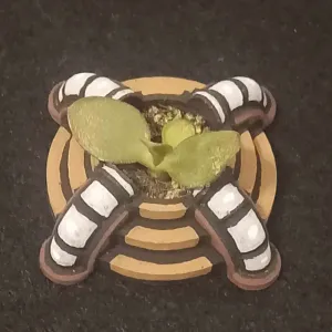 Cactus Holder - Supportless