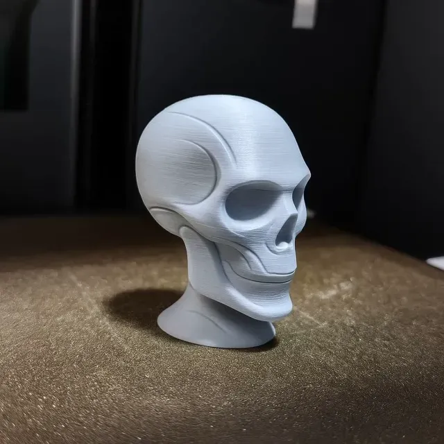 Skull (Home Decor Art)