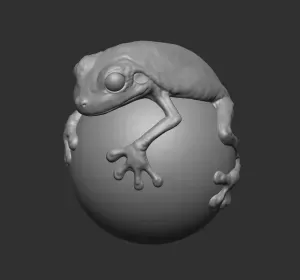 FDM & Resin Printer Test -frog