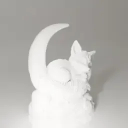 Sleeping Fox on the Moon