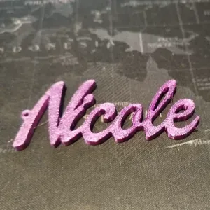 LLAVERO NICOLE