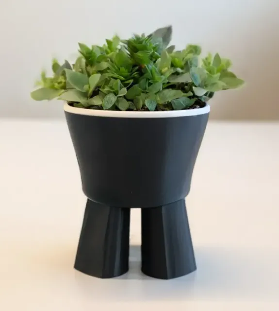 THE BOLD - PLANTER / FLOWER POT — Image 6 of 9