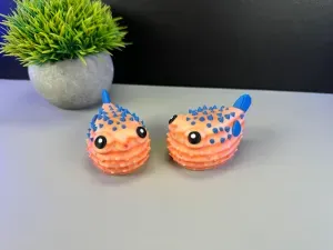 Cute Puffer Fish