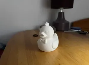 Fancy Duck 3D Model