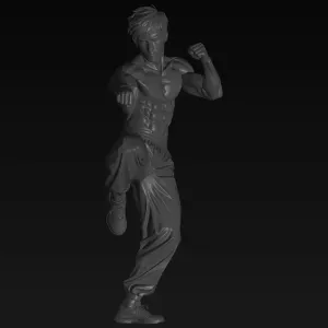 bruce lee model