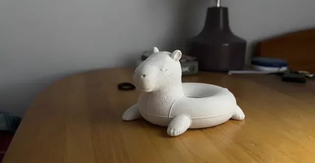 Capybara Pool Float 3D Model