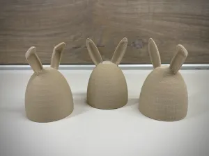 Brave bunnies