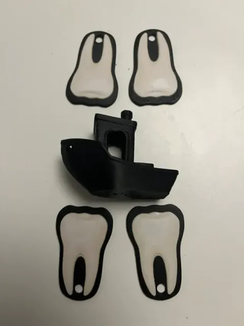 Human Tooth Keyring — Image 2 of 6