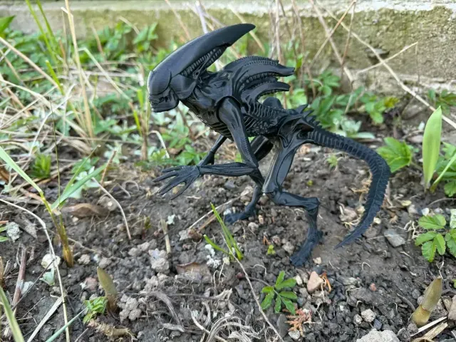 Alien, xenomorph from Prometheus, Covenant — Image 3 of 5