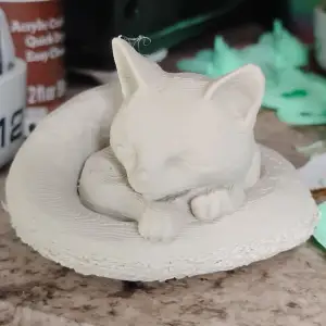Sleepy Kitty Cat